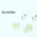 Aconite   